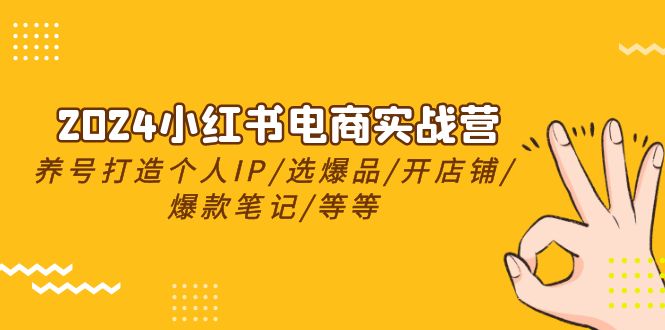 2024小红书电商实战营，养号打造IP/选爆品/开店铺/爆款笔记/等等（24节）-占领资源网