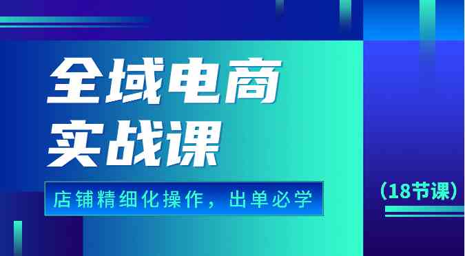 全域电商实战课，个人店铺精细化操作流程，出单必学内容（18节课）-占领资源网