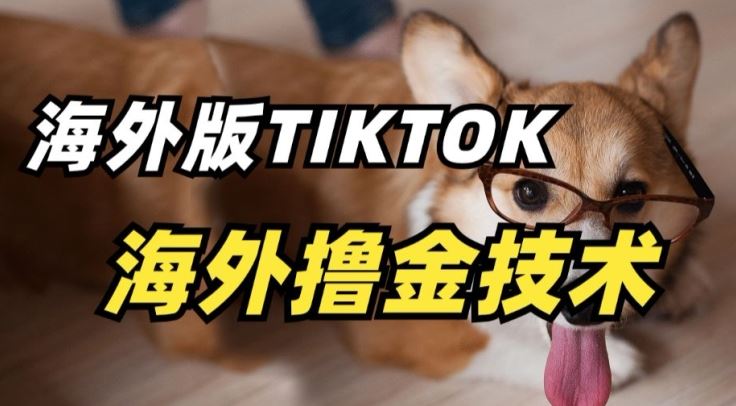 抖音海外版tiktok撸金技术，这个风口行业，赚钱真的不难【揭秘】-占领资源网