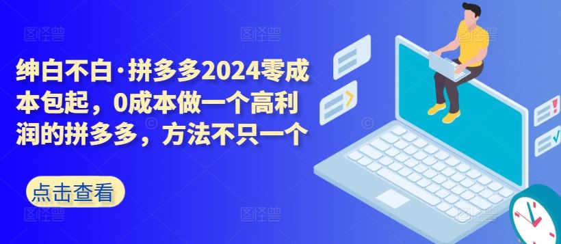 拼多多2024零成本包起，0成本做一个高利润的拼多多，方法不只一个-占领资源网