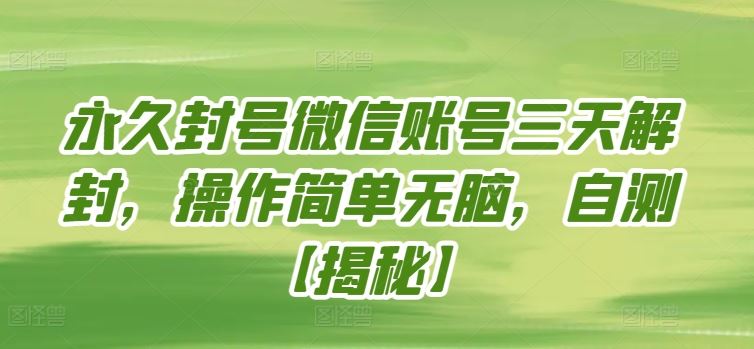 永久封号微信账号三天解封，操作简单无脑，自测【揭秘】-占领资源网