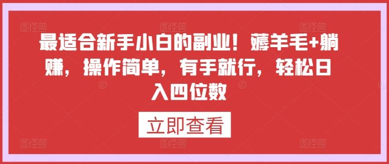 最适合新手小白的副业！薅羊毛+躺赚，操作简单，有手就行，轻松日入四位数【揭秘】-占领资源网