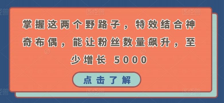 掌握这两个野路子，特效结合神奇布偶，能让粉丝数量飙升，至少增长 5000【揭秘】-占领资源网