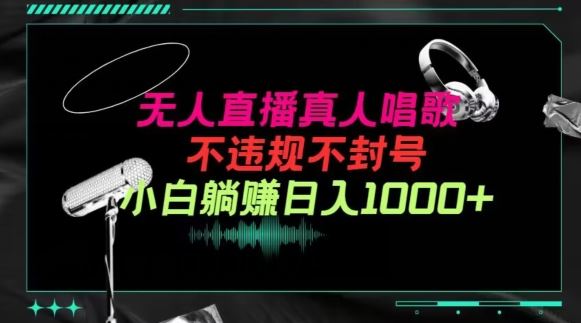 抖音24小时无人直播音乐，不违规，不封号纯撸音浪，小白实操当天日入1000+【揭秘】-占领资源网