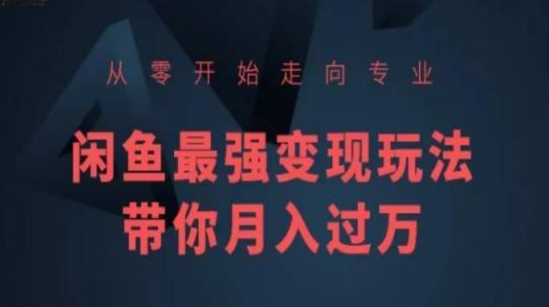 从零开始走向专业，闲鱼最强变现玩法带你月入过万-占领资源网