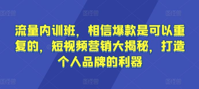 流量内训班，相信爆款是可以重复的，短视频营销大揭秘，打造个人品牌的利器-占领资源网