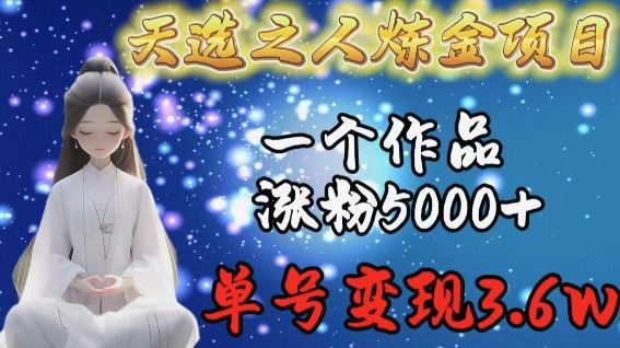 天选之人炼金项目，一个作品涨粉5000+，单号变现3.6w【揭秘】-占领资源网