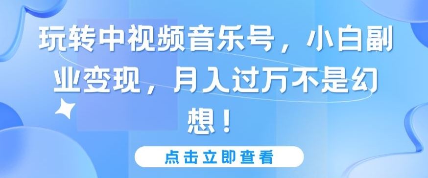 玩转中视频音乐号，小白副业变现，月入过万不是幻想【揭秘】-占领资源网