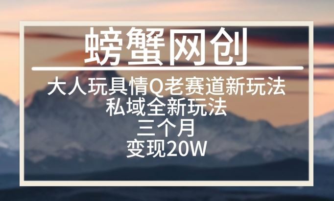 大人玩具情Q用品赛道私域全新玩法，三个月变现20W，老项目新思路【揭秘】-占领资源网
