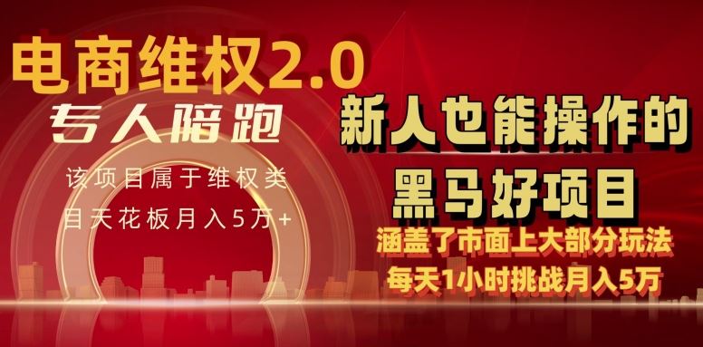 电商维权 4.0 如何做到月入 5 万+每天 1 小时新人也能快速上手【仅揭秘】-占领资源网