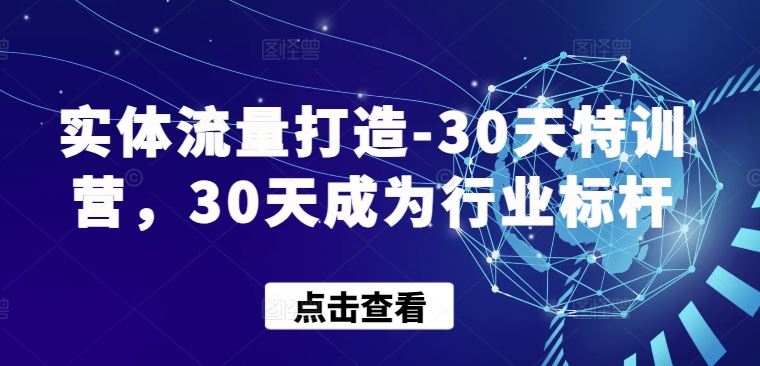实体流量打造-30天特训营，30天成为行业标杆-占领资源网