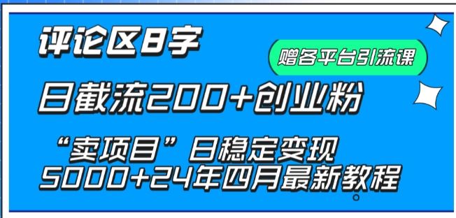 抖音评论区8字日截流200+创业粉 “卖项目”日稳定变现5000+【揭秘】-占领资源网