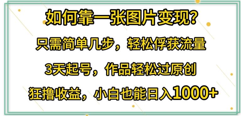 如何靠一张图片变现?只需简单几步，轻松俘获流量，3天起号，作品轻松过原创【揭秘】-占领资源网