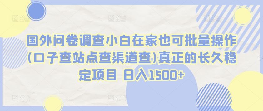 国外问卷调查小白在家也可批量操作(口子查站点查渠道查)真正的长久稳定项目 日入1500+【揭秘】-占领资源网
