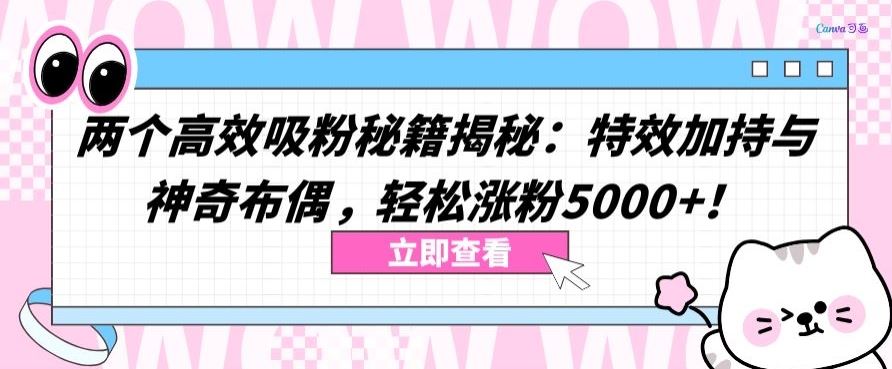 两个高效吸粉秘籍揭秘：特效加持与神奇布偶，轻松涨粉5000+【揭秘】-占领资源网