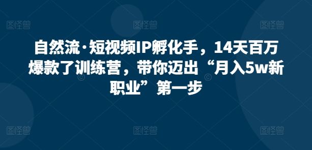 自然流·短视频IP孵化手，14天百万爆款了训练营，带你迈出“月入5w新职业”第一步-占领资源网