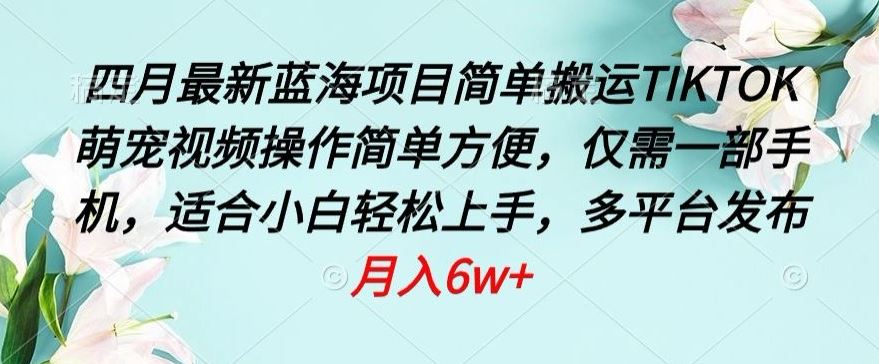 四月最新蓝海项目，简单搬运TIKTOK萌宠视频，操作简单方便，仅需一部手机【揭秘】-占领资源网