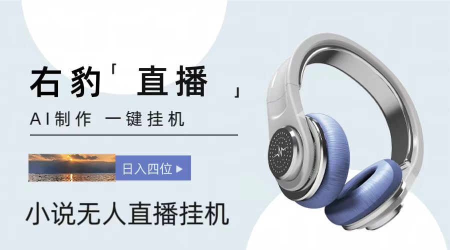 右豹小说无人直播挂机吸金项目，简单易行收益稳定， 月入1000+-占领资源网