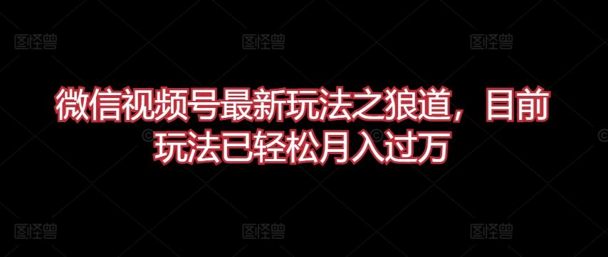 微信视频号最新玩法之狼道，目前玩法已轻松月入过万【揭秘】-占领资源网