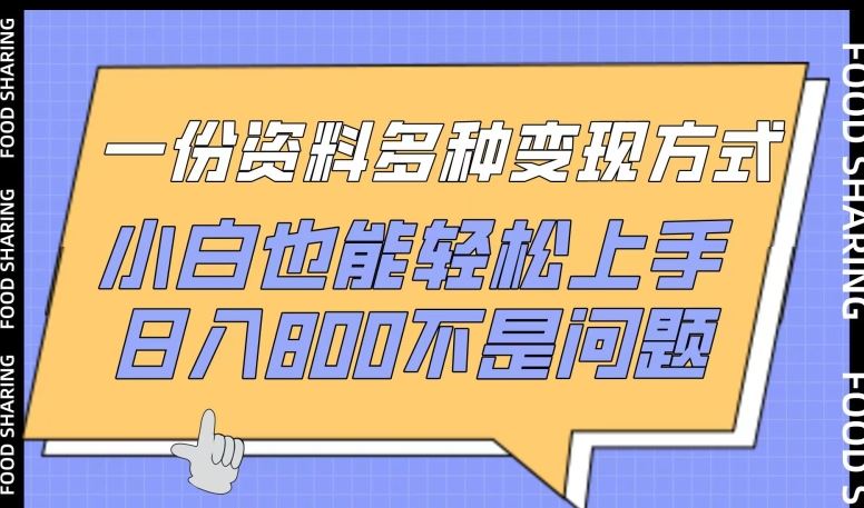 一份资料多种变现方式，小白也能轻松上手，日入800不是问题【揭秘】-占领资源网