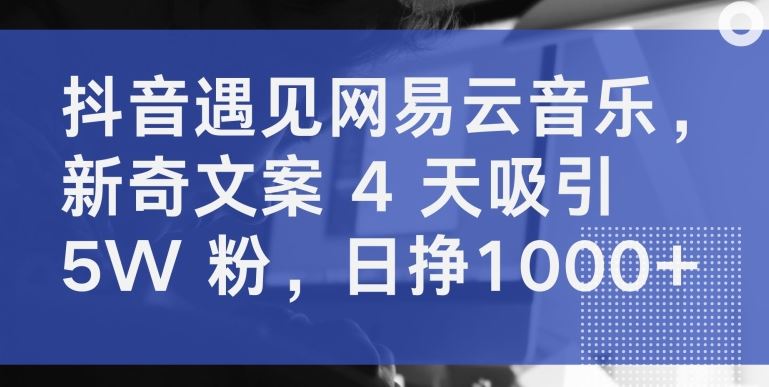 抖音遇见网易云音乐，新奇文案 4 天吸引 5W 粉，日挣1000+【揭秘】-占领资源网