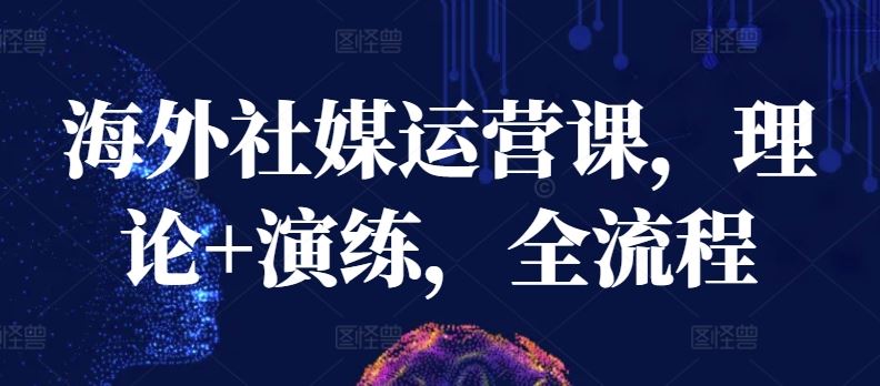 海外社媒运营课，理论+演练，全流程-占领资源网