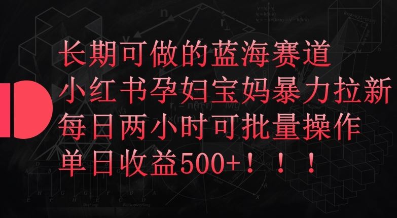 长期可做的蓝海赛道，小红书孕妇宝妈暴力拉新玩法，每日两小时可批量操作，单日收益500+【揭秘】-占领资源网