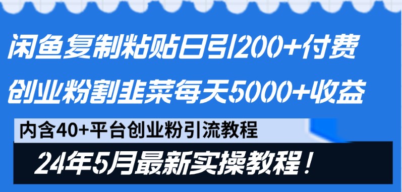 闲鱼复制粘贴日引200+付费创业粉，24年5月最新方法！割韭菜日稳定5000+收益-占领资源网