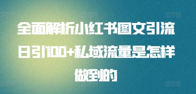 全面解析小红书图文引流日引100+私域流量是怎样做到的【揭秘】-占领资源网