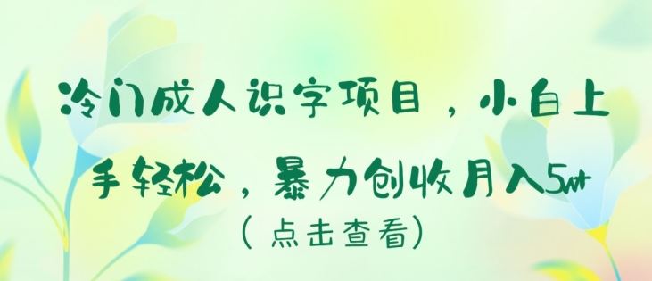 冷门成人识字项目，小白上手轻松，暴力创收月入5w+【揭秘】-占领资源网