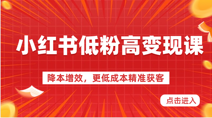 小红书低粉高变现课-降本增效，更低成本精准获客，小红书必爆的流量密码-占领资源网