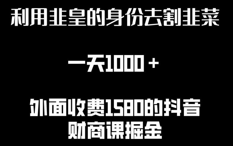 利用非皇的身份去割韭菜，一天1000+(附详细资源)【揭秘】-占领资源网