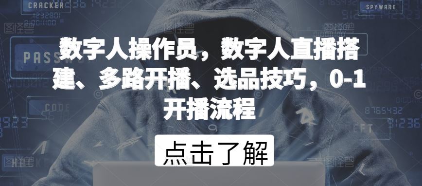 数字人操作员，数字人直播搭建、多路开播、选品技巧，0-1开播流程-占领资源网