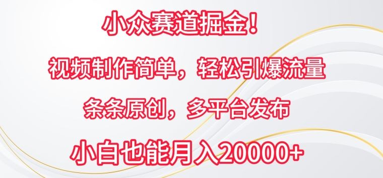 小众赛道掘金，视频制作简单，轻松引爆流量，条条原创，多平台发布【揭秘】-占领资源网