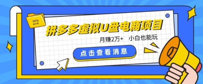 拼多多虚拟U盘电商红利项目：月赚2万+，新手小白也能玩-占领资源网