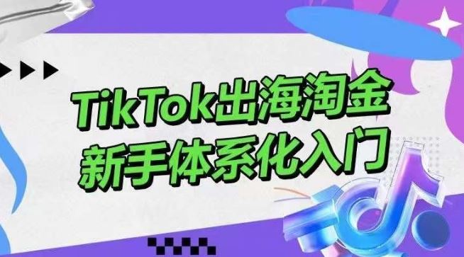 TikTok出海淘金，新手体系化入门，零基础快速入门，掌握短视频、直播带货等引流到变现的知识-占领资源网