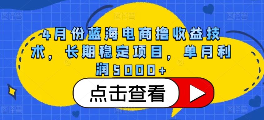4月份蓝海电商撸收益技术，长期稳定项目，单月利润5000+【揭秘】-占领资源网