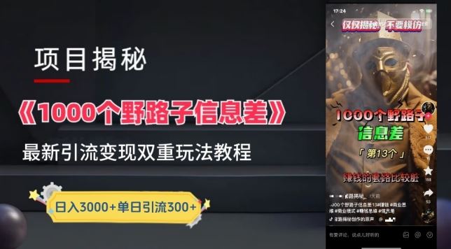 一千个野路子信息差最新玩法教程-变现+引流的玩法具体拆解【揭秘】-占领资源网