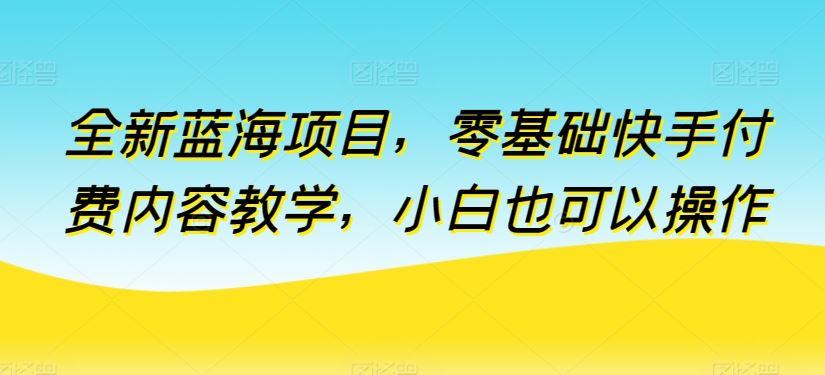 全新蓝海项目，零基础快手付费内容教学，小白也可以操作【揭秘】-占领资源网