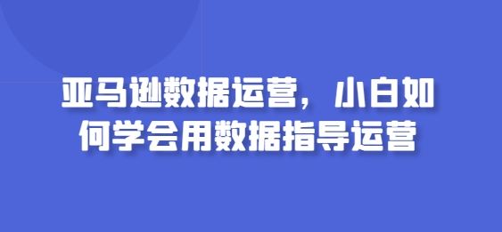 亚马逊数据运营，小白如何学会用数据指导运营-占领资源网