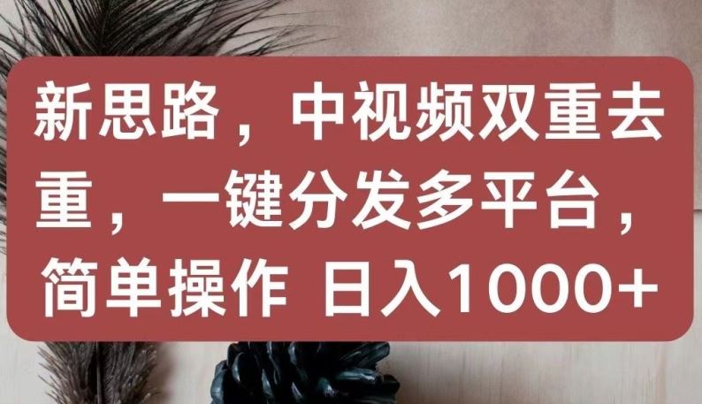 新思路，中视频双重去重，一键分发多平台，简单操作，日入1000+【揭秘】-占领资源网