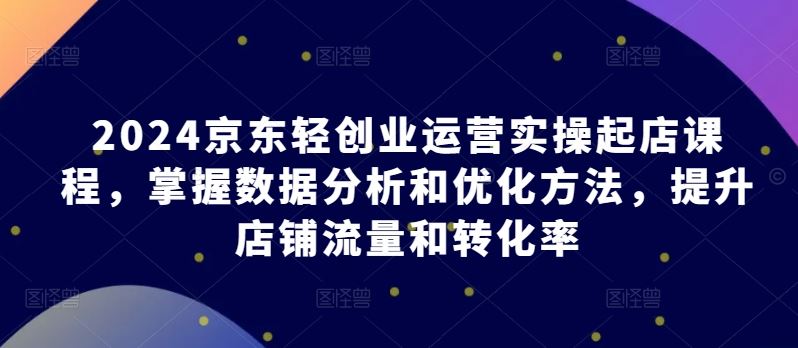 2024京东轻创业运营实操起店课程，掌握数据分析和优化方法，提升店铺流量和转化率-占领资源网