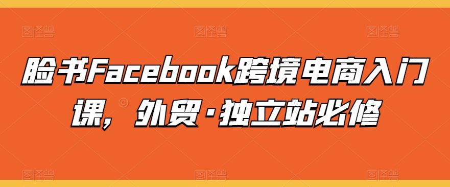 脸书Facebook跨境电商入门课，外贸·独立站必修-占领资源网
