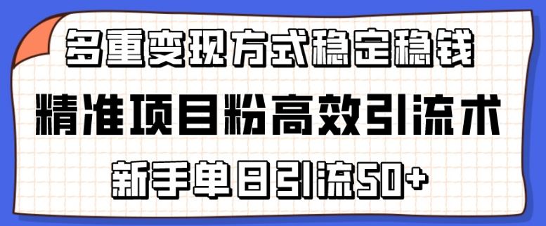精准项目粉高效引流术，新手单日引流50+，多重变现方式稳定赚钱【揭秘】-占领资源网