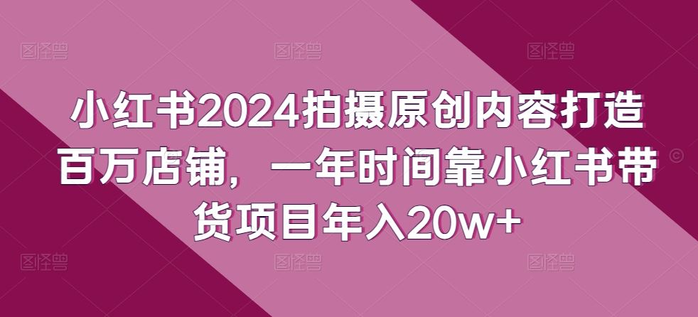 小红书2024拍摄原创内容打造百万店铺，一年时间靠小红书带货项目年入20w+-占领资源网