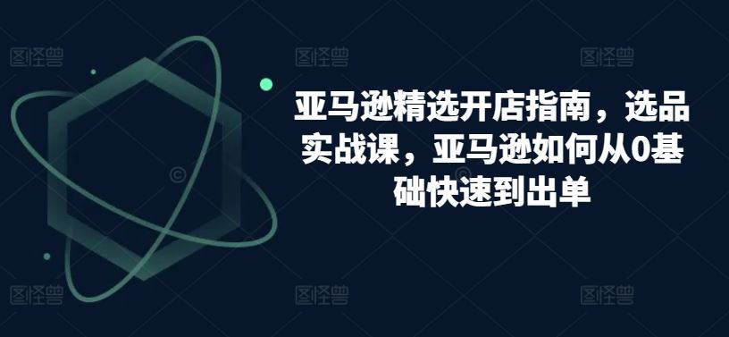 亚马逊精选开店指南，选品实战课，亚马逊如何从0基础快速到出单-占领资源网