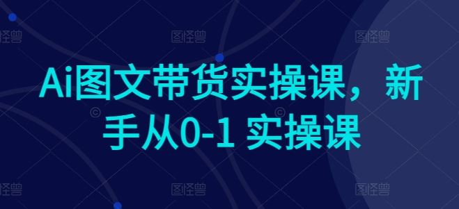 Ai图文带货实操课，新手从0-1 实操课-占领资源网