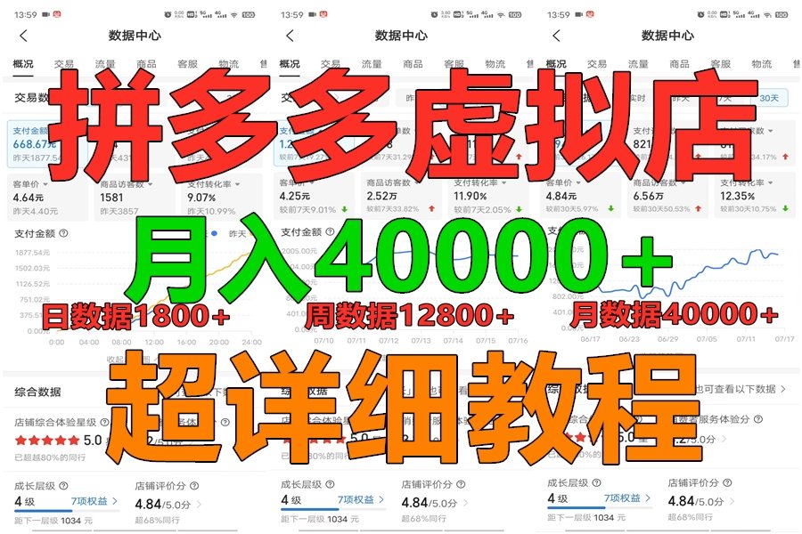 拼多多虚拟电商训练营月入40000+，全网最详细，你做你也行，暴利稳定长久-占领资源网