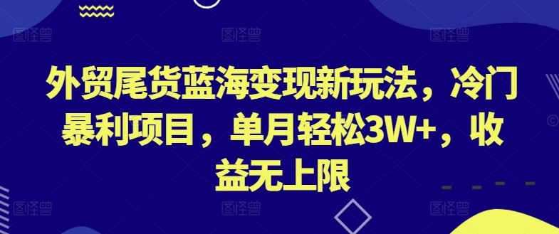 外贸尾货蓝海变现新玩法，冷门暴利项目，单月轻松3W+，收益无上限【揭秘】-占领资源网