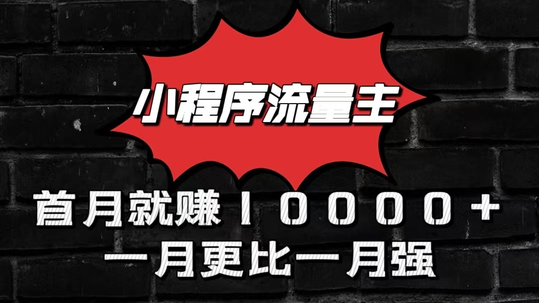 小程序流量主首月就赚10000+，一月更比一月强！小本创业首选-占领资源网